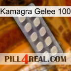 Kamagra Jelly 100 08